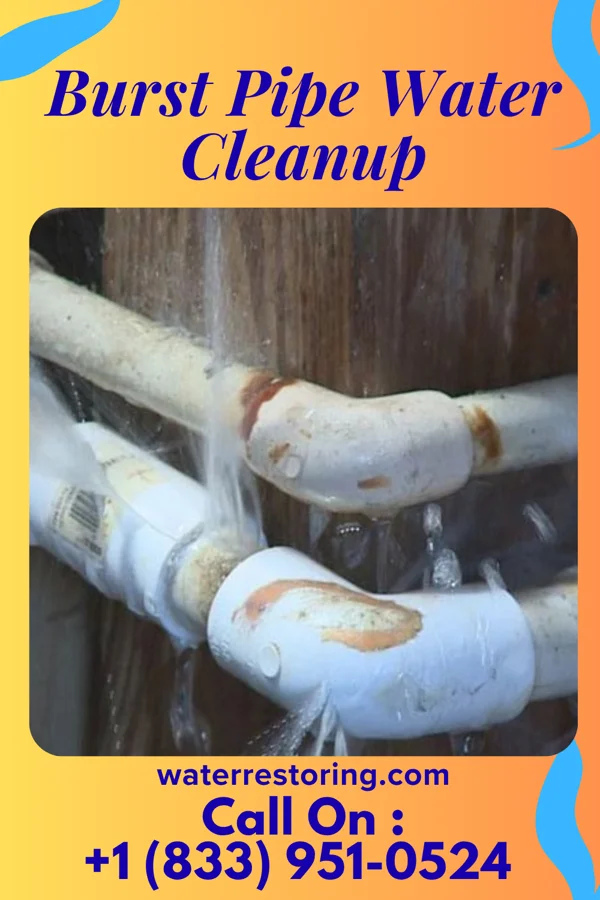 Burst Pipe Water Cleanup in Seatonville, IL