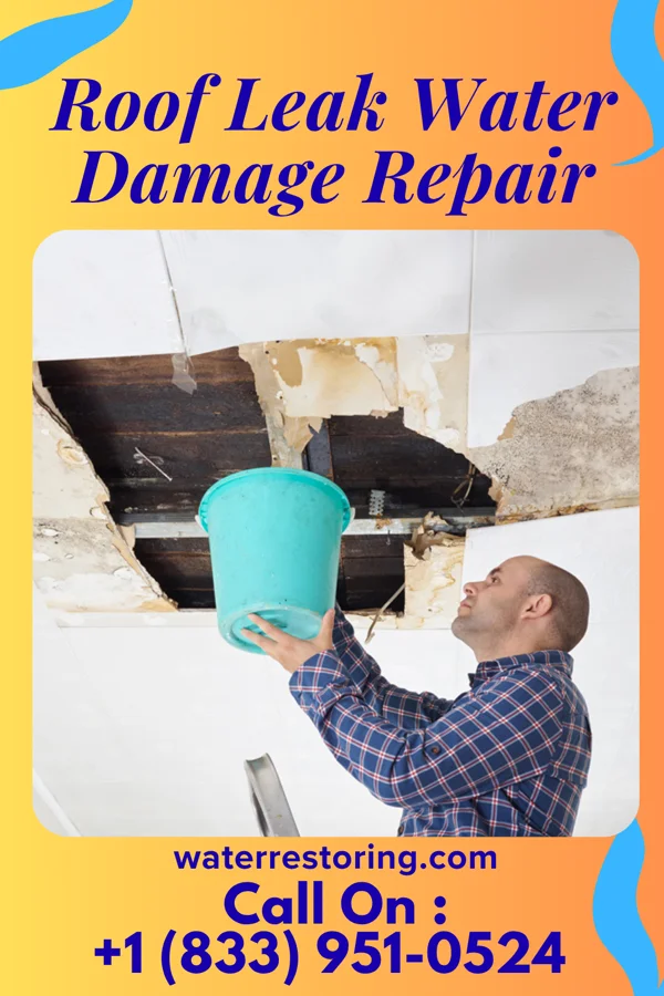 Roof Leak Water Damage Repair in Seatonville, IL