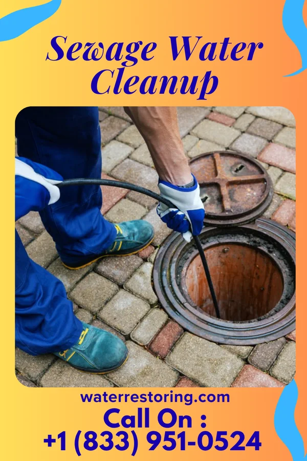 Sewage Water Cleanup in Seatonville, IL